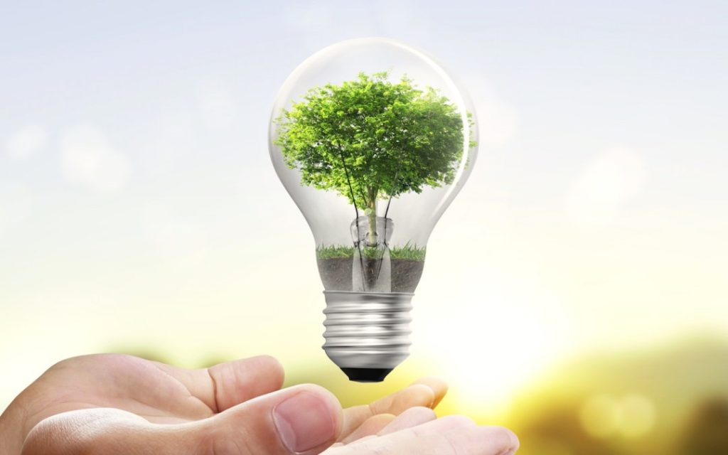 Conoce estos sencillos Tips y comienza a ahorrar Energía Eléctrica